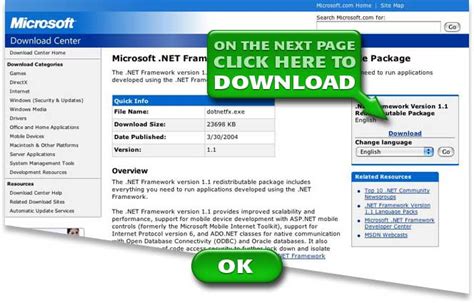 .NET Framework Version 1.1 for Windows